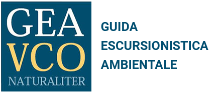 GEA Guida Escursionistica Ambientale