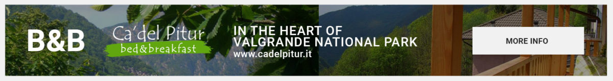 Ca Del Pitur Valgrande B&B